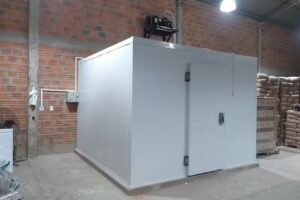 A. A. Formosa Servicios Automotor