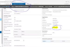 ADN SERVICIO AUTOMOTOR