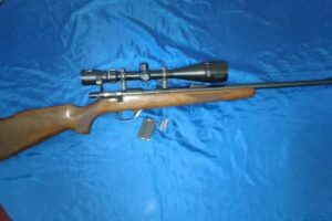 Aldo G. Ribba Servicio Diesel Y Naftero