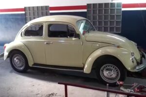 Alineaci&oacute;n Blanco