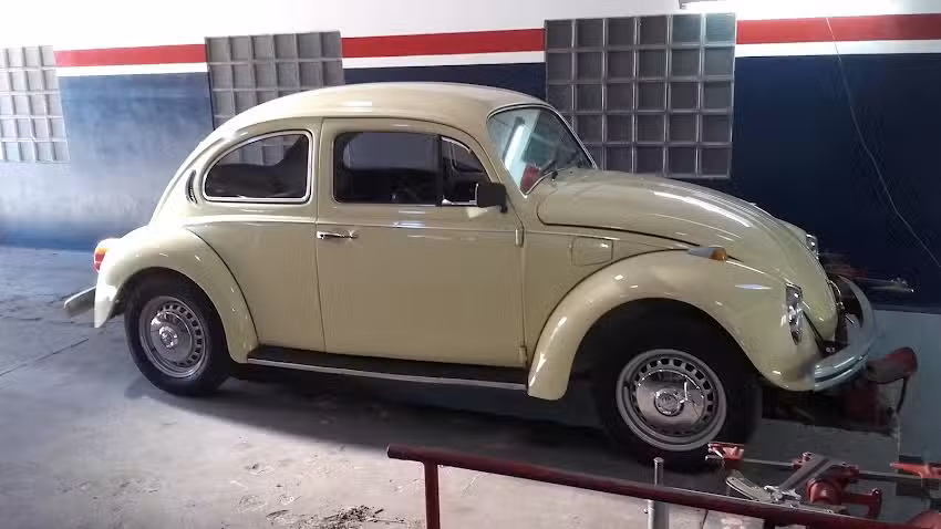 Alineaci&oacute;n Blanco