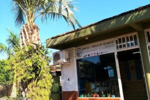 AMCell-Servicio Técnico