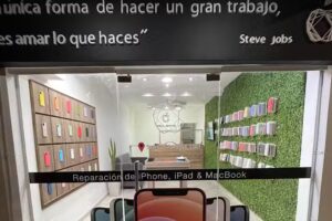 Apple & Service &ndash; Adrogu&eacute;