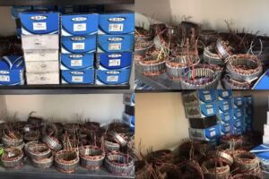 ARIAS ELECTROMEC&Aacute;NICA