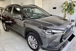 Autocarril M&oacute;viles