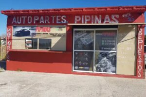 Autopartes Pipinas