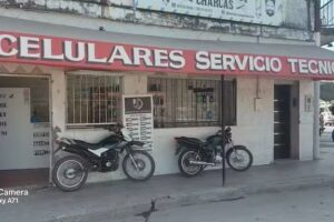 Black and white celulares