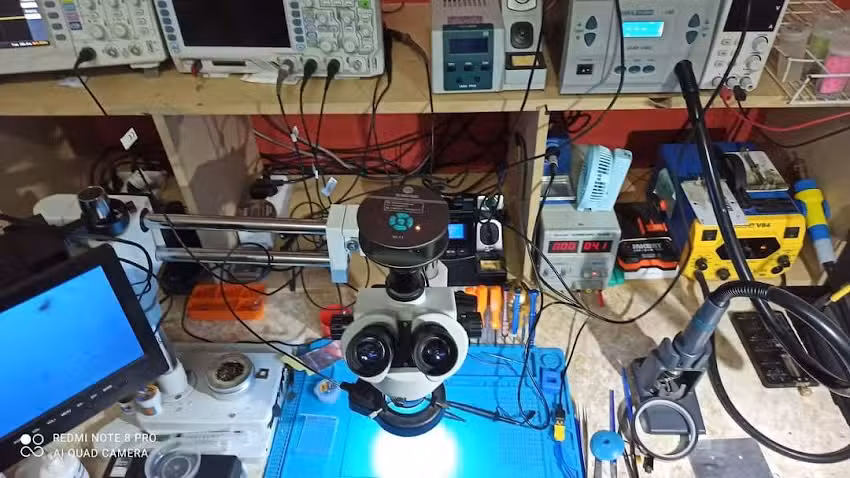 BunnyCells Servicio T&eacute;cnico