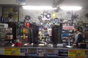 Carlota Repuestos de Guerreiro W