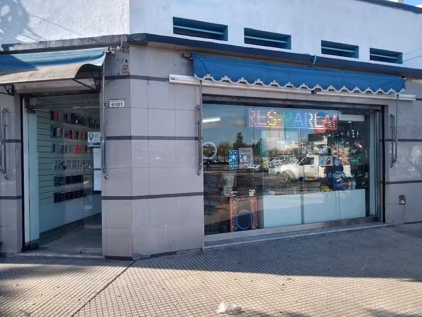 Celulares constituyentes