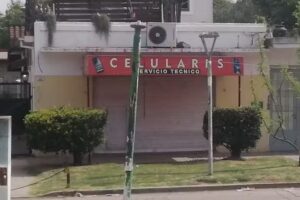 Celulares Servicio T&eacute;cnico