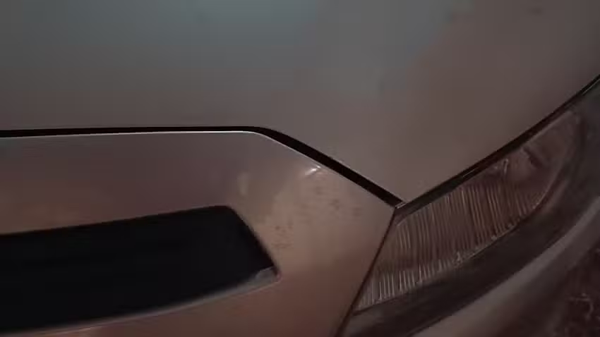 Cerra goma Paragolpes