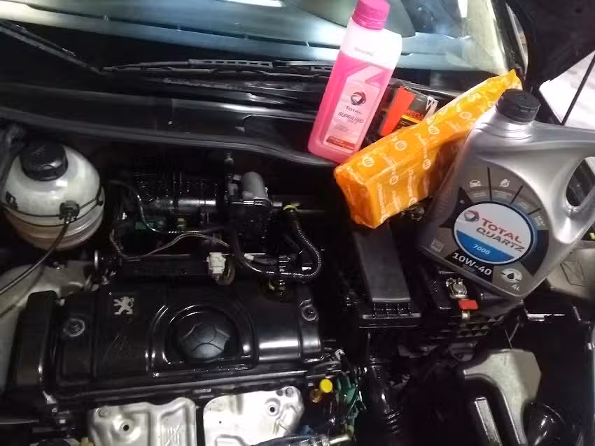 Check Service /Mecanica y electronica /