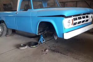 El&aacute;sticos Brandsen