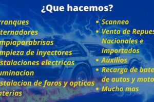 Electricidad del Automovil Luis Di Palma