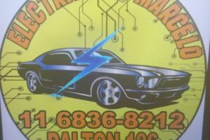 Electricidad del Autom&oacute;vil Marcelo &iexcl;Arranqu&eacute; y Alternadores!