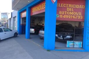 Electricidad del Autom&oacute;vil Mart&iacute;n