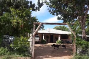 Electromecanica luraschi