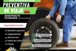 ELECTROMEC&Aacute;NICA WALTER