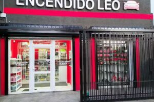 ENCENDIDO LEO &ndash; REPUESTO AUTOMOTOR