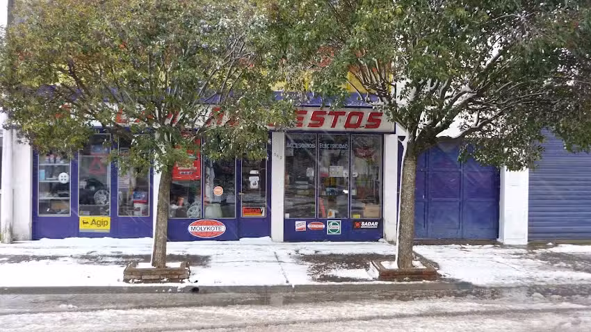 Fiat Car Repuestos Fiat