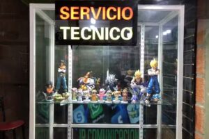 FOCUS – Cell Repairs