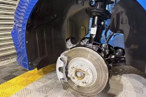 Full Detail Ituzaing&oacute;