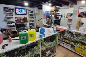 GD Inyeccion Electr&oacute;nica