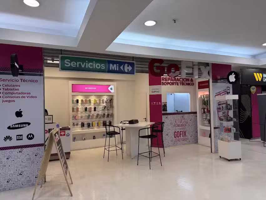 Gofix Vicente L&oacute;pez