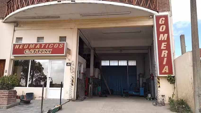 Gomer&iacute;a Cattini