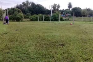 Gomería Constitución