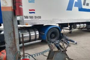 Gomer&iacute;a El Mapuche