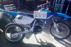 GOMERIA”EL SAUCE”