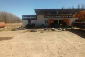 Gomeria La Petrolera