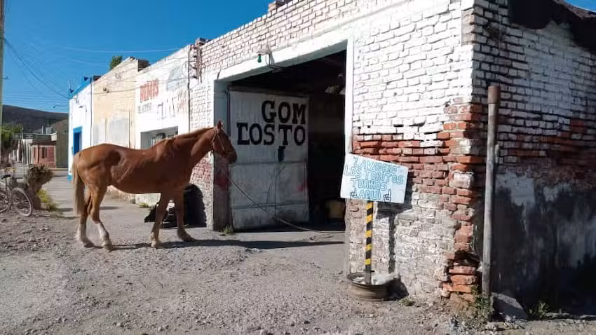 Gomer&iacute;a Los Toritos