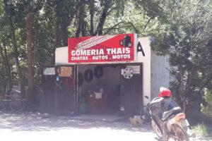 Gomeria &ldquo;THAIS&rdquo;