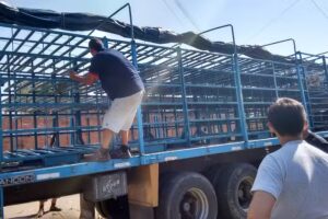 GPS Taller &ndash; Jam Competicion