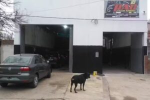 GPS Taller &ndash; Mecanica Ganin