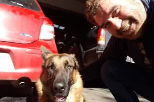 GPS Taller &ndash; Taller SZ