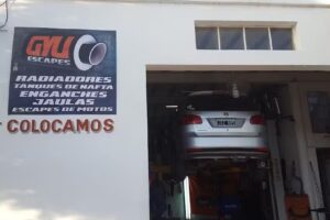 GYU ESCAPES RADIADORES