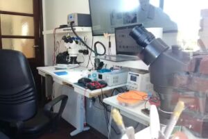 JyP Servicio Tecnico iPhone