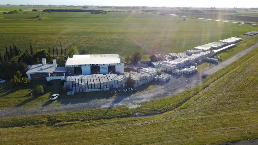 LIKA HORMIGON CELULAR