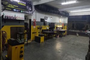 Los chaparro gomeria