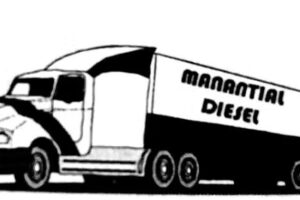 Manantial Diesel, Bombas Inyectoras e Inyectores, Inyecci&oacute;n Electronica Diesel