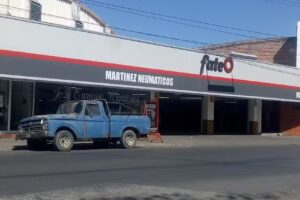 Martinez Neum&aacute;ticos