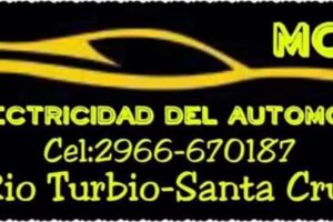 MC Electricidad Del Automotor