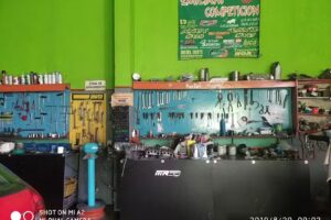 Mec&aacute;nica emiliani