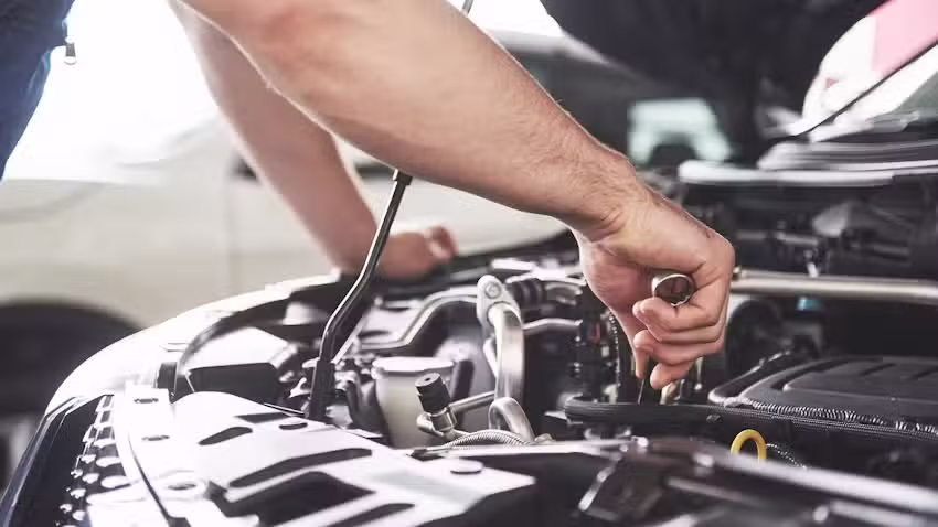 Mecanica Franceschini &ndash; Tren Delantero