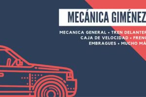MEC&Aacute;NICA GIM&Eacute;NEZ Diesel y Nafteros