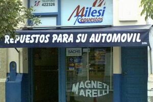 Milesi Repuestos